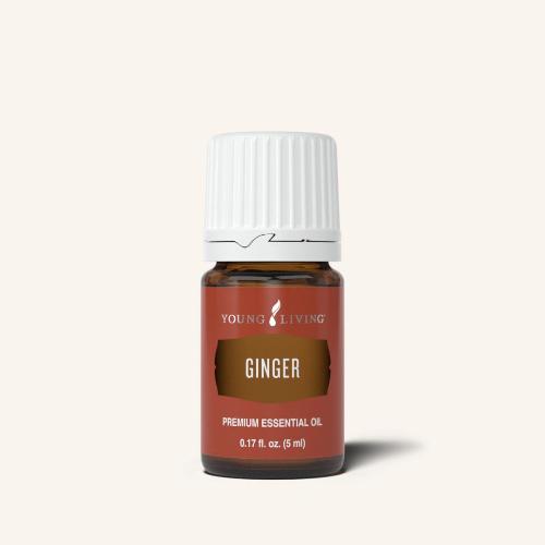 Ginger Essential Oil